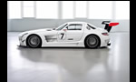 Mercedes SLS AMG GT3 2010 